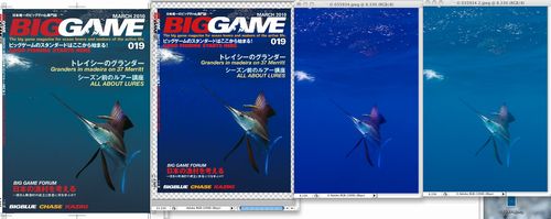 biggame019web.jpg